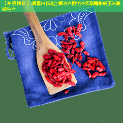 【考察快讯】德惠市松花江镇农户担忧今年早霜影响玉米最终生产