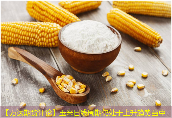 【万达期货评论】玉米日线周期仍处于上升趋势当中