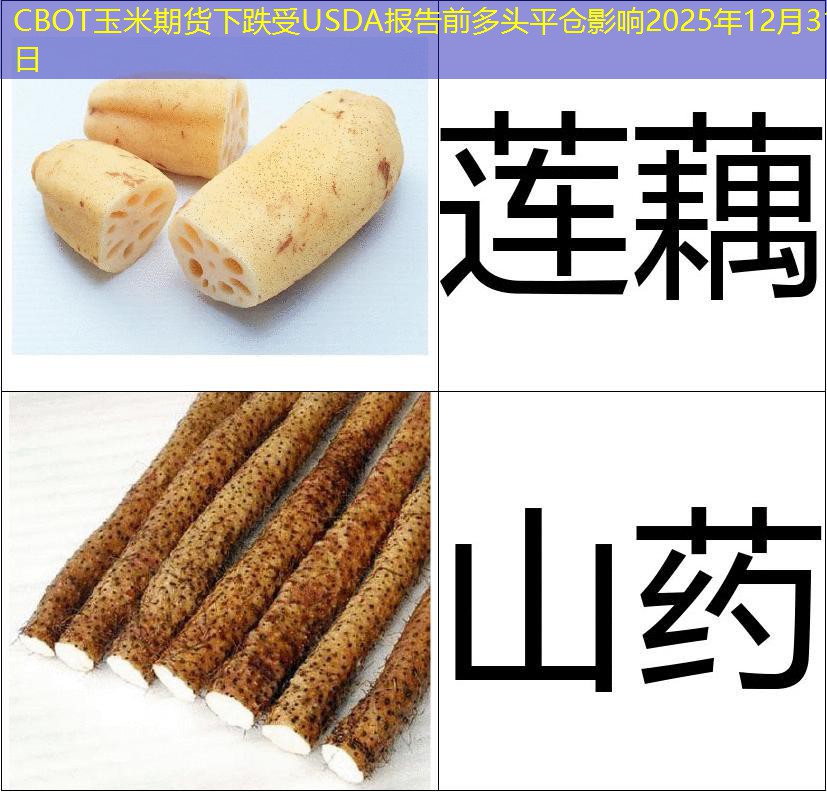 CBOT玉米期货下跌受USDA报告前多头平仓影响2025年12月31日