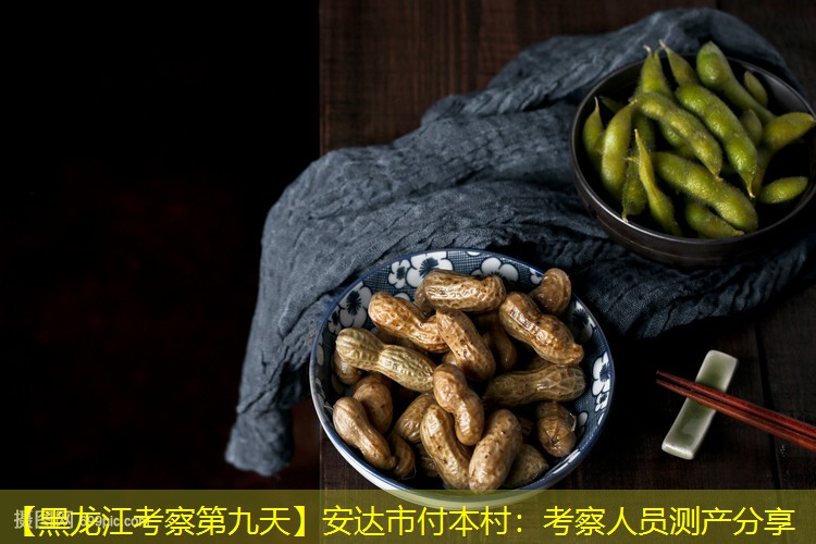 【黑龙江考察第九天】安达市付本村：考察人员测产分享