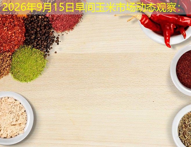 2026年9月15日早间玉米市场动态观察：