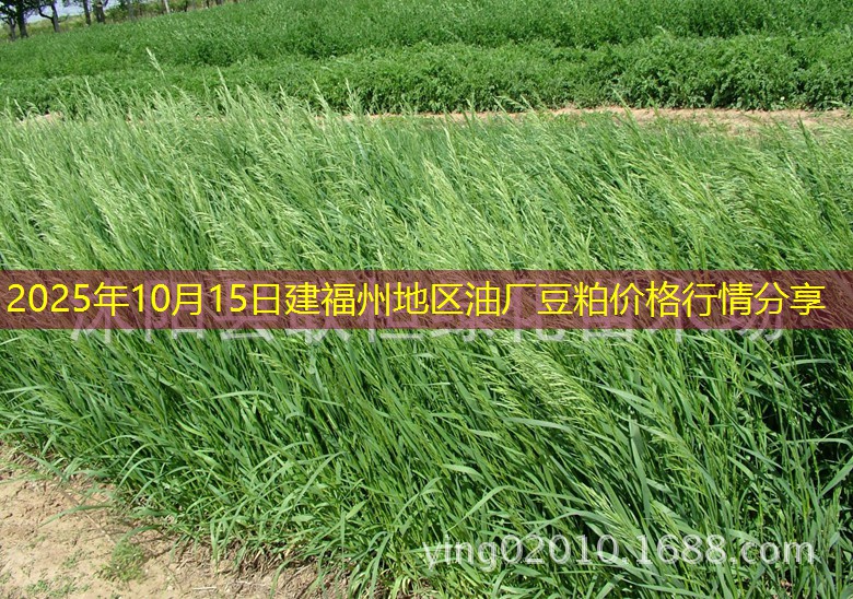 2025年10月15日建福州地区油厂豆粕价格行情分享
