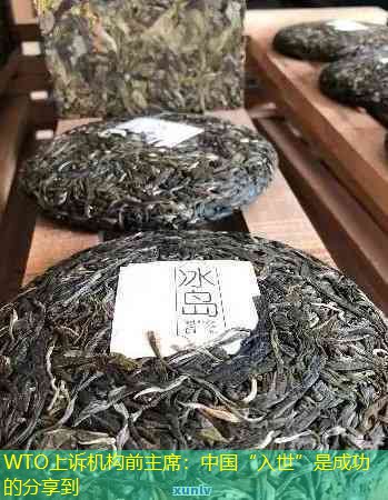 WTO上诉机构前主席：中国“入世”是成功的分享到