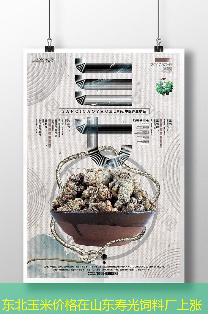 东北玉米价格在山东寿光饲料厂上涨