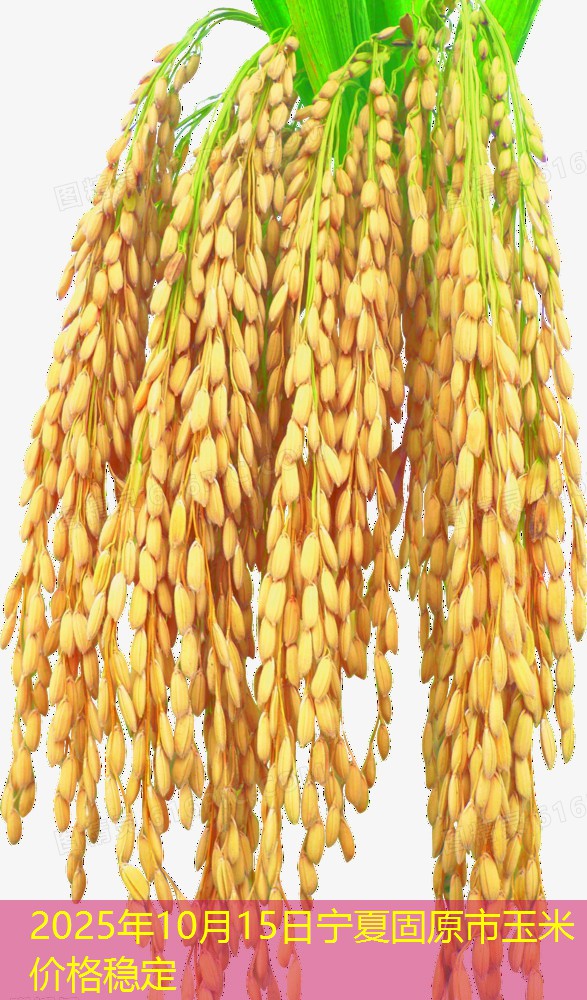 2025年10月15日宁夏固原市玉米价格稳定