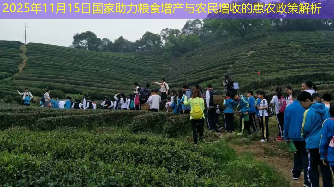 2025年11月15日国家助力粮食增产与农民增收的惠农政策解析