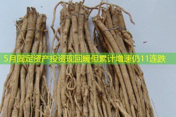 5月固定资产投资现回暖但累计增速仍11连跌