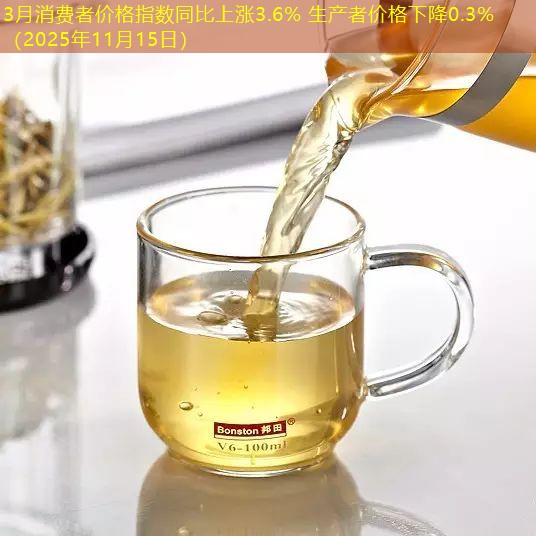 3月消费者价格指数同比上涨3.6% 生产者价格下降0.3%（2025年11月15日）