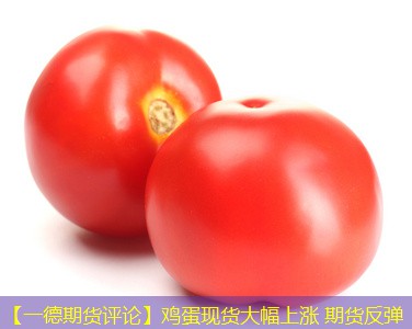 【一德期货评论】鸡蛋现货大幅上涨 期货反弹