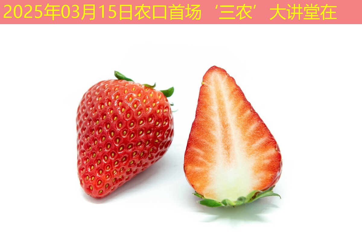 2025年03月15日农口首场‘三农’大讲堂在