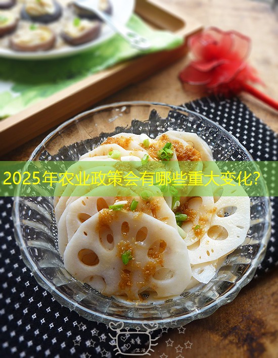 2025年农业政策会有哪些重大变化？
