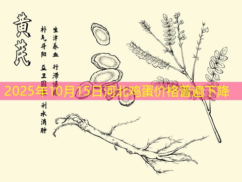 2025年10月15日河北鸡蛋价格普遍下降