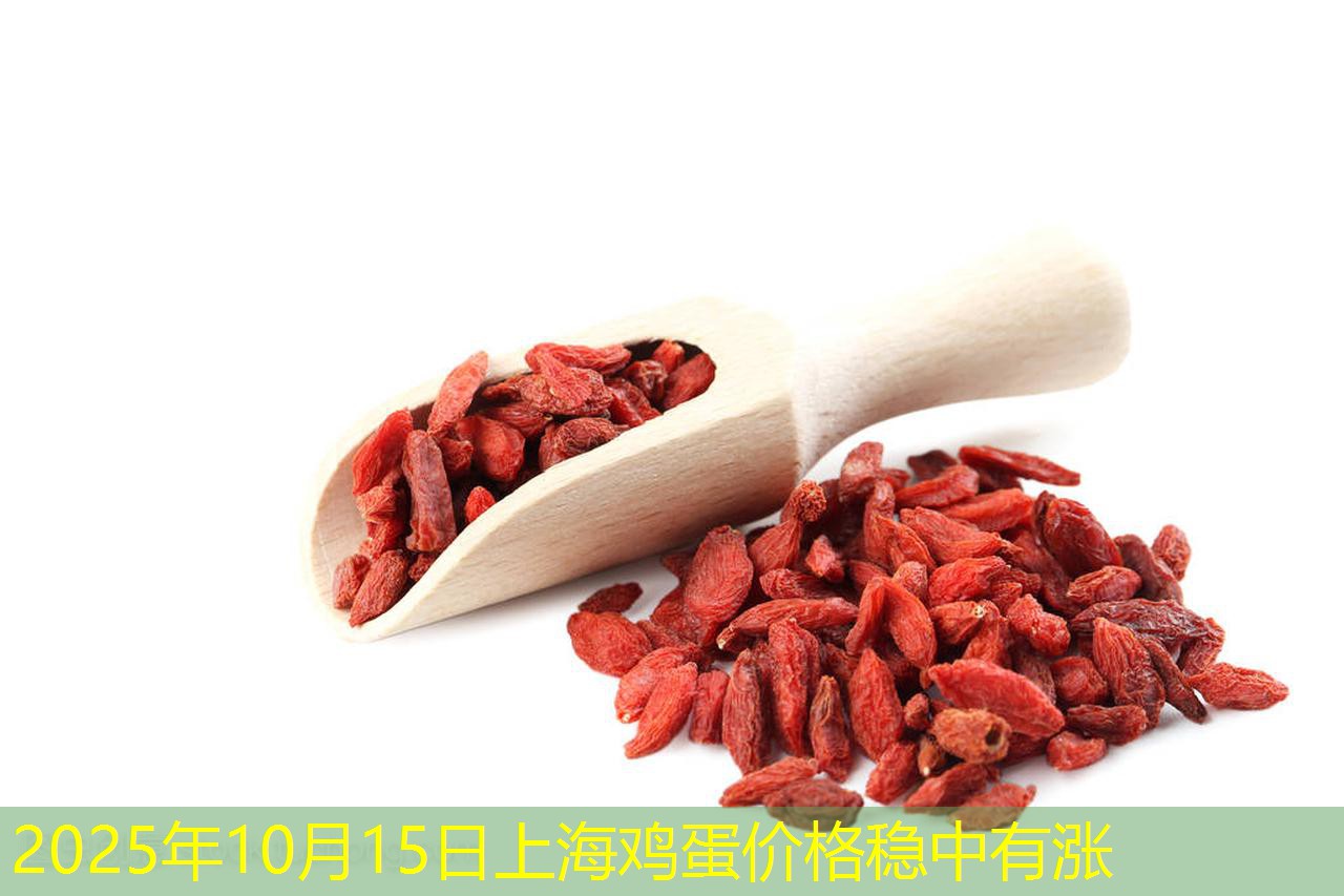 2025年10月15日上海鸡蛋价格稳中有涨
