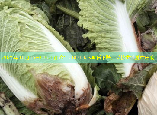 2025年10月15日CBOT评论：CBOT玉米期货下跌，受技术性抛盘影响