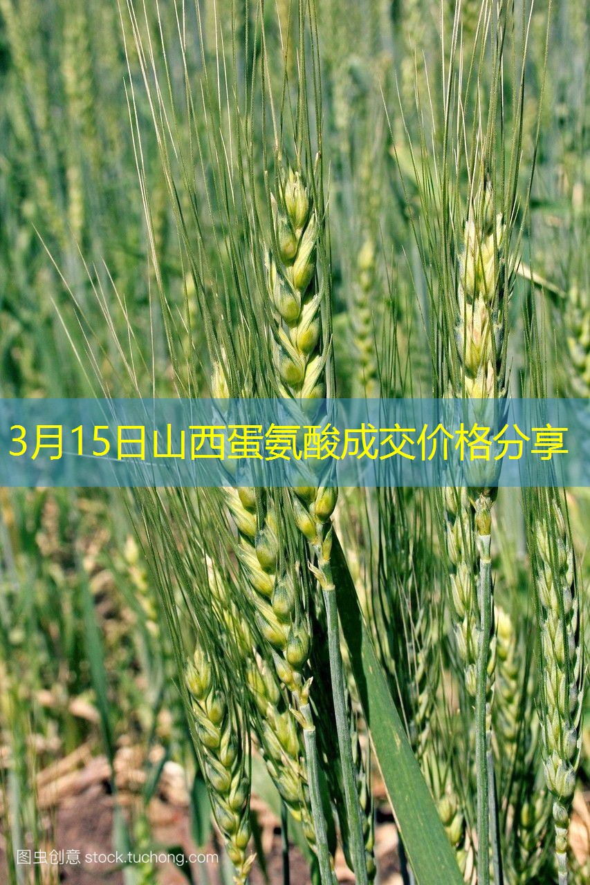 3月15日山西蛋氨酸成交价格分享