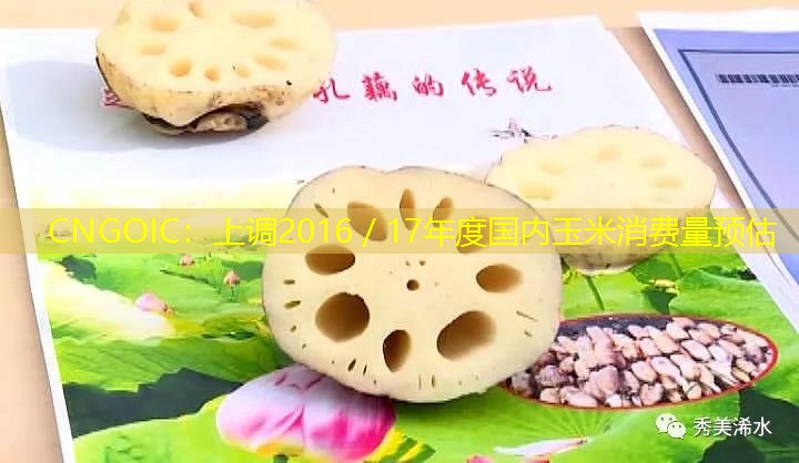 CNGOIC：上调2016／17年度国内玉米消费量预估