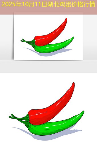 2025年10月11日湖北鸡蛋价格行情