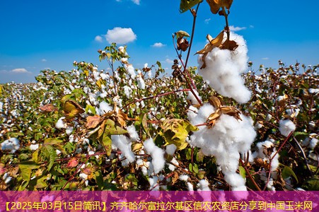 【2025年03月15日简讯】齐齐哈尔富拉尔基区信农农资店分享到中国玉米网