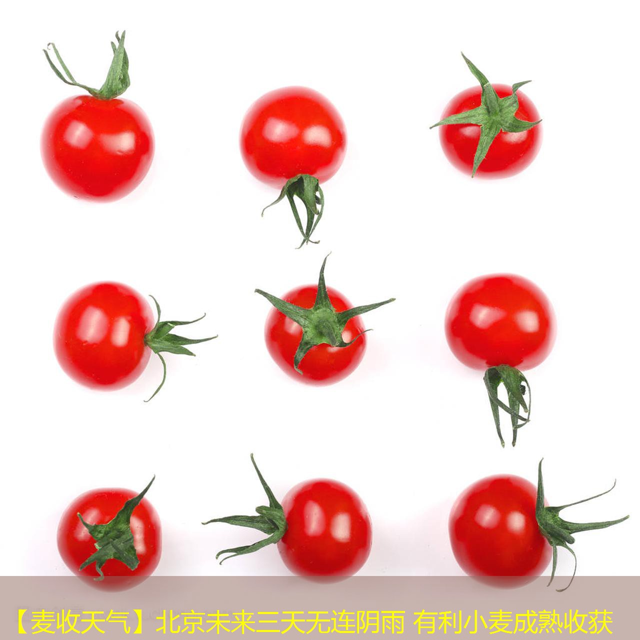 【麦收天气】北京未来三天无连阴雨 有利小麦成熟收获