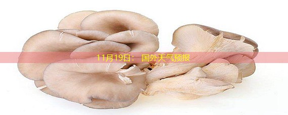 11月19日： 国外天气预报