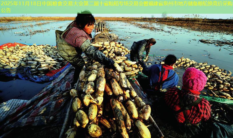 2025年11月18日中国粮食交易大会第二届十省籼稻专场交易会暨福建省泉州市地方储备粮轮换竞价采购公告