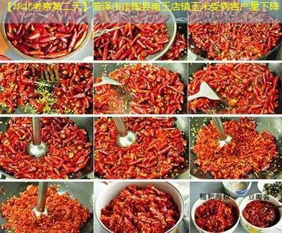 【华北考察第二天】菏泽市定陶县南王店镇玉米受病害产量下降