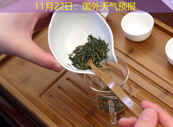 11月22日：国外天气预报