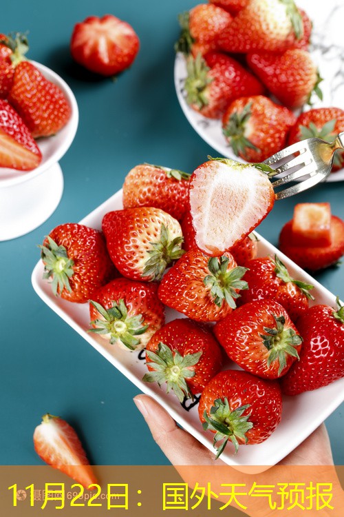 11月22日：国外天气预报