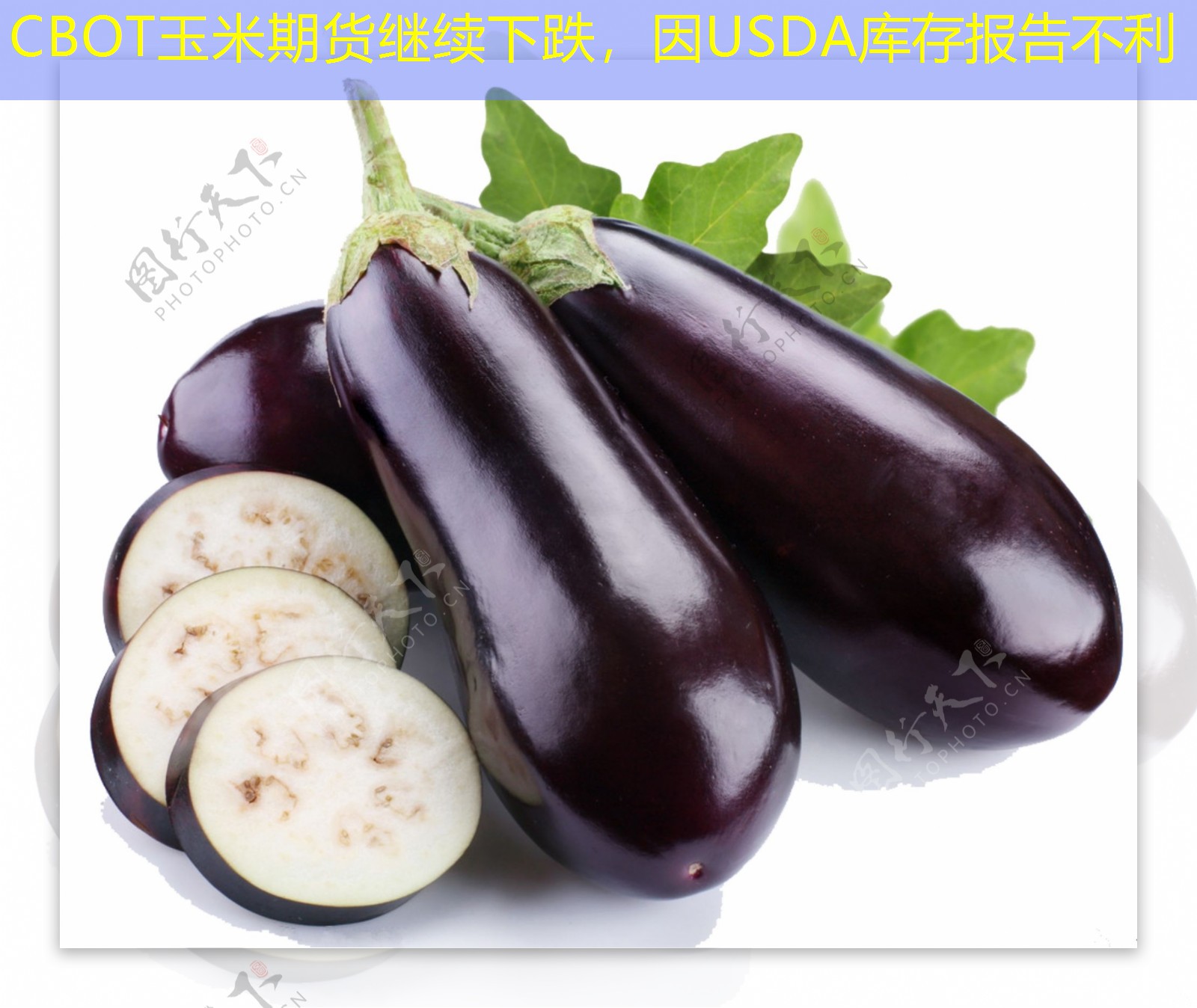 CBOT玉米期货继续下跌，因USDA库存报告不利