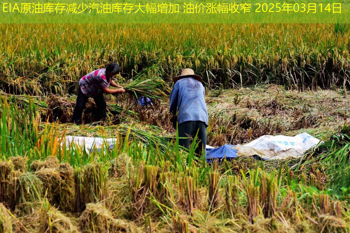 EIA原油库存减少汽油库存大幅增加 油价涨幅收窄 2025年03月14日