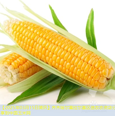 【2025年03月15日简讯】齐齐哈尔富拉尔基区信农农资店分享到中国玉米网